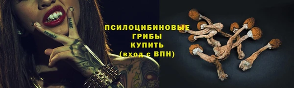 мяу мяу мука Алексеевка