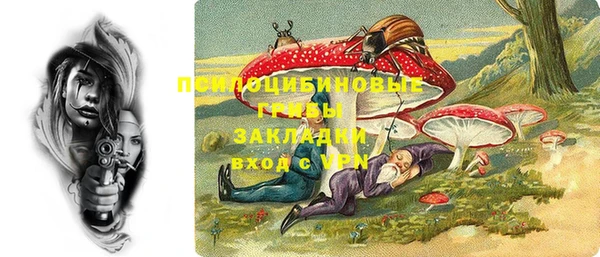 прущий лед Алзамай