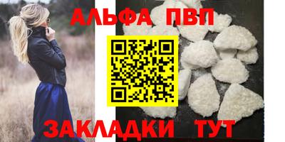 стафф Нальчик