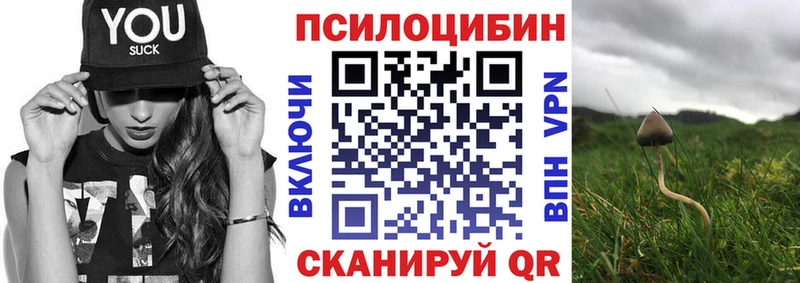 Псилоцибиновые грибы Cubensis  Бирск 