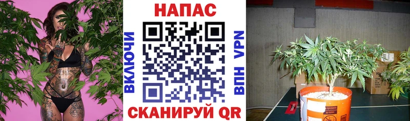 Бошки Шишки гибрид  Бирск 