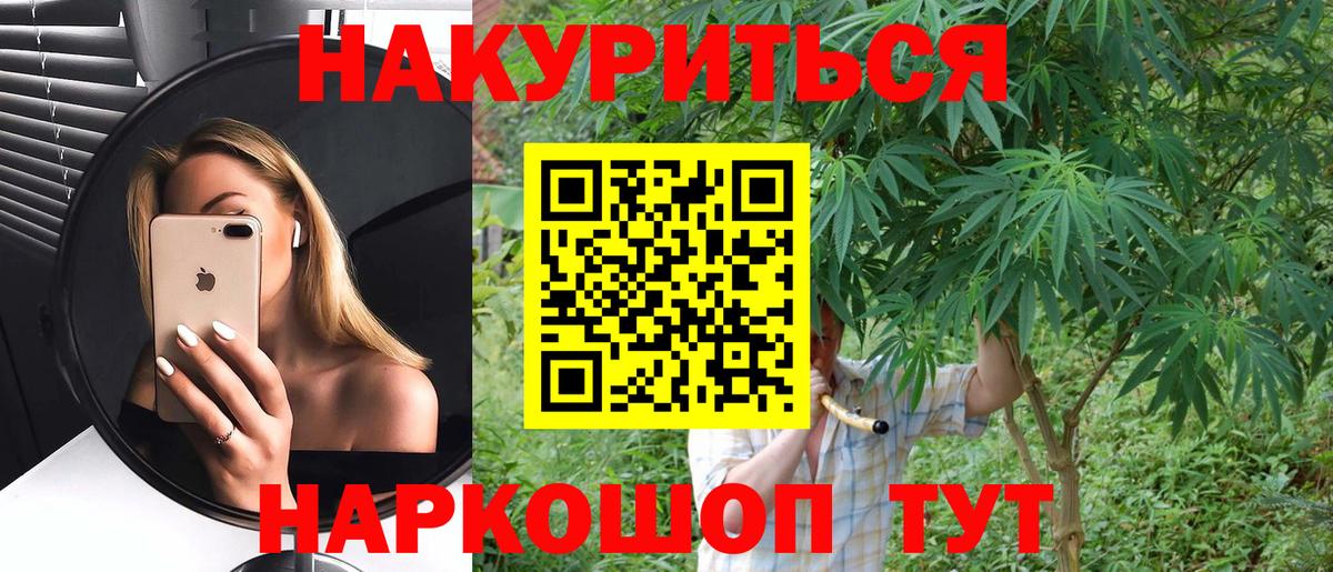 Конопля гибрид Бирск